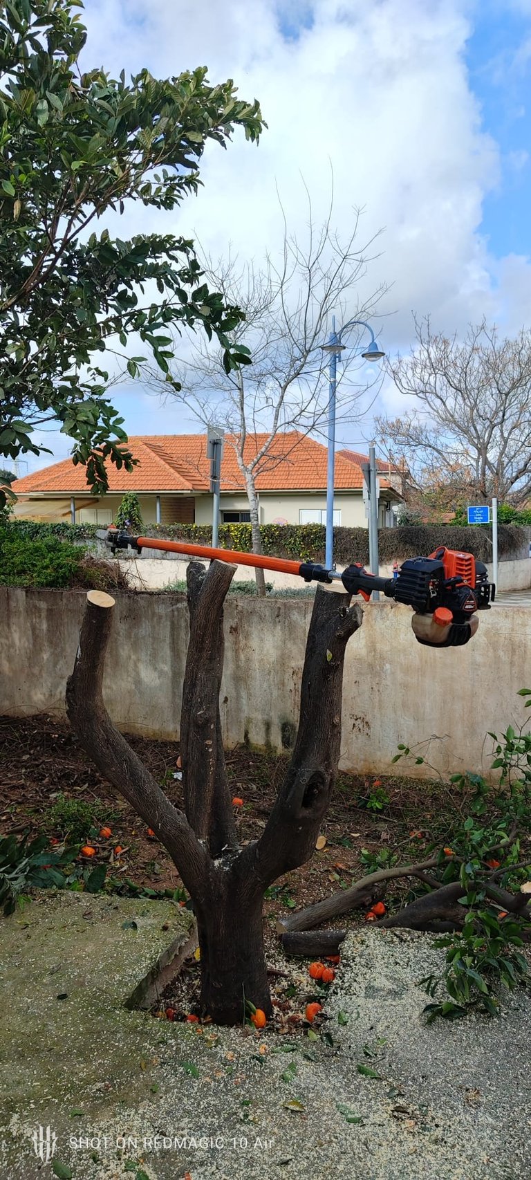 Mechanical art installation of a tree with orange pipes forming branches and black sculptural elements, displayed in front of a residential house