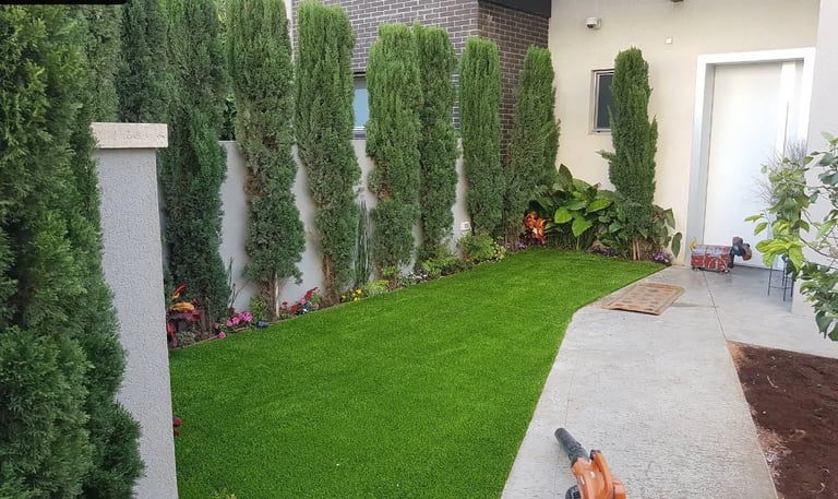Modern residential backyard with manicured lawn, tall evergreen trees, concrete patio, white brick house, and potted plants