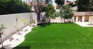 Backyard with lush green lawn, white fence, flowering plants, and trees under sunny conditions